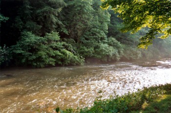 river creek