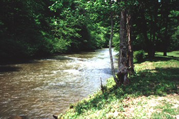 Mountaintown Creek in Ellijay Georgia