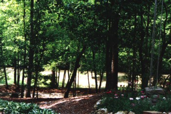 Great outdoors