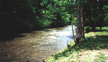 Mountaintown Creek in Ellijay Georgia