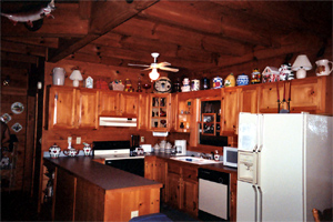 The Kitchen