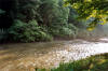 River bank