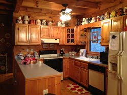 Log Cabin Kitchen